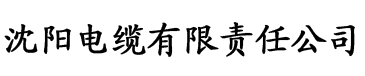 荔枝app污电缆厂logo